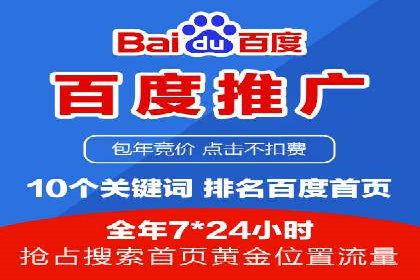 谷歌SEM广告策略：某电商平台的成功逆袭案例